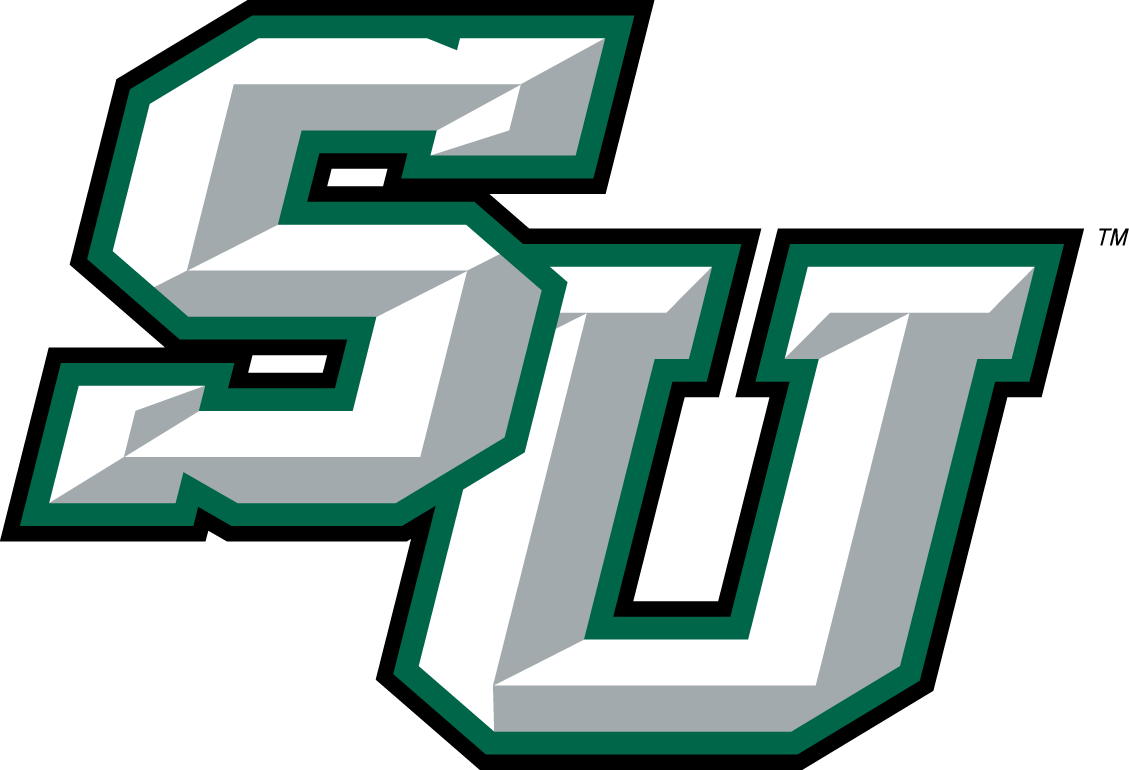 Stetson Hatters 2008-2017 Alternate Logo iron on transfers for T-shirts